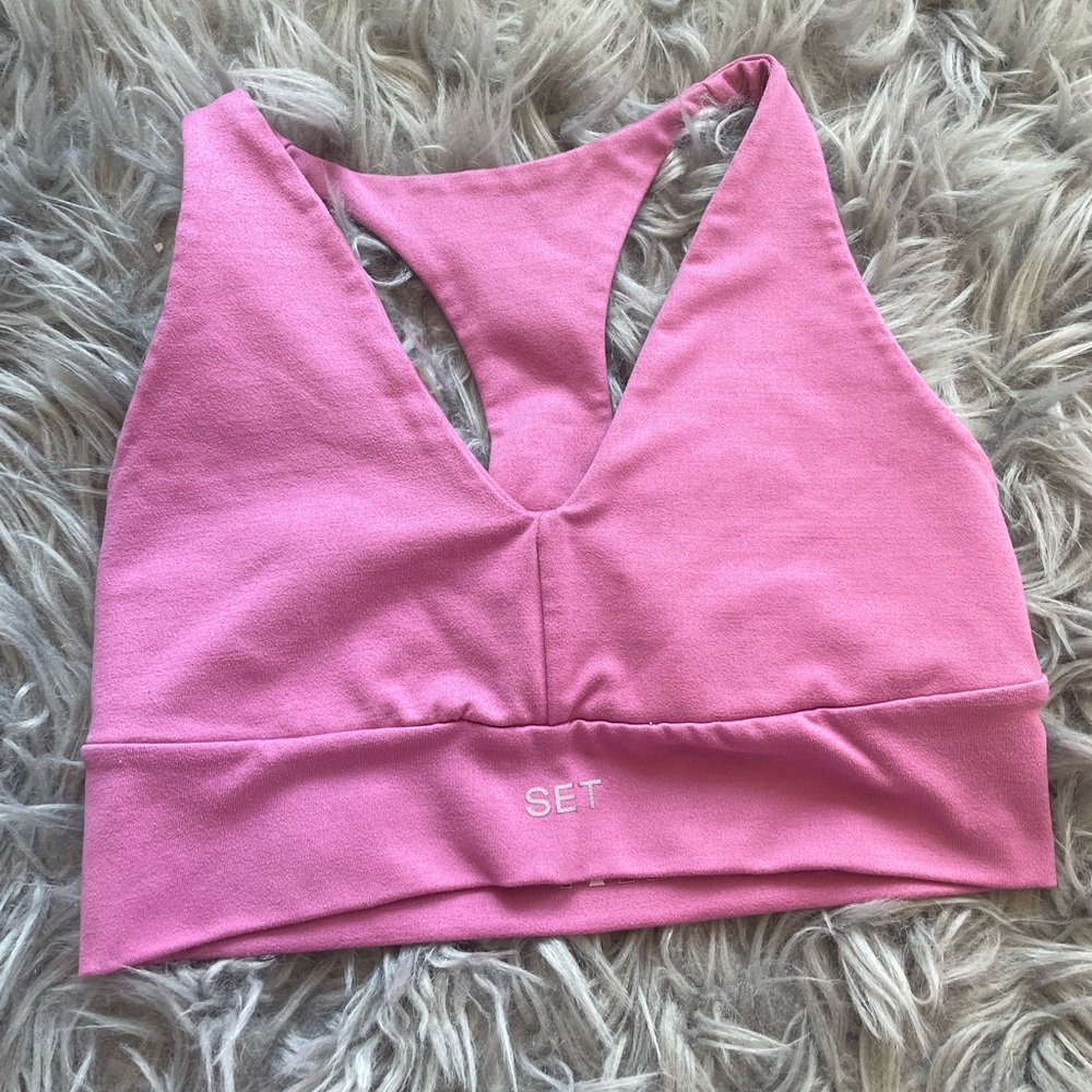 Setactive pink sports bra